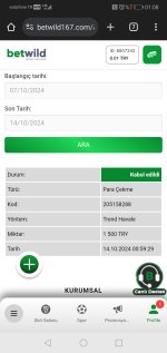 Screenshot_20241014_010803_com.android.chrome.jpg