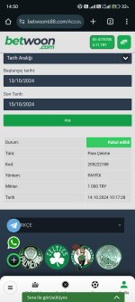 Screenshot_2024-10-14-14-50-01-765_com.android.chrome.jpg