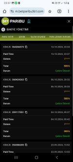 Screenshot_20241014_233743_Chrome.jpg