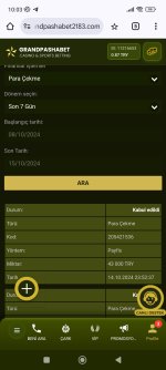 Screenshot_2024-10-15-10-03-13-513_com.android.chrome.jpg