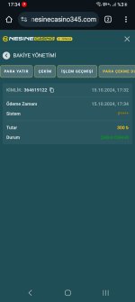 Screenshot_20241015_173447_Chrome.jpg