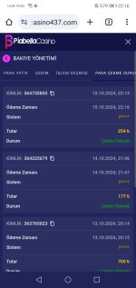 Screenshot_20241015_221645_com.android.chrome.jpg