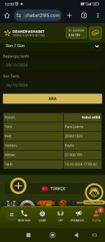 Screenshot_2024-10-16-12-52-16-694_com.android.chrome.jpg