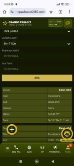 Screenshot_2024-10-16-14-03-35-697_com.android.chrome.jpg