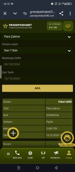 Screenshot_20241016-161545.jpg