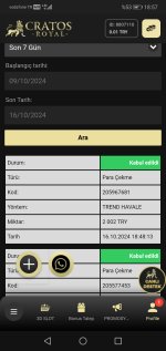 Screenshot_20241016_185752_com.android.chrome.jpg