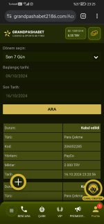 Screenshot_20241016_232516_com.android.chrome.jpg