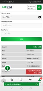 Screenshot_20241017_111741_com.android.chrome.jpg