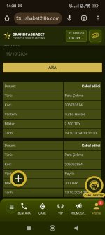 Screenshot_2024-10-19-14-38-11-946_com.android.chrome.jpg