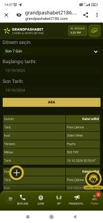 Screenshot_2024-10-19-14-57-50-401_com.android.chrome.jpg
