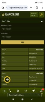 Screenshot_2024-10-19-15-01-05-240_com.android.chrome.jpg
