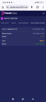 Screenshot_2024-10-19-18-06-40-661_com.android.chrome.jpg
