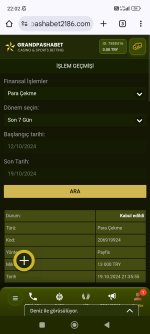 Screenshot_2024-10-19-22-02-24-448_com.android.chrome.jpg