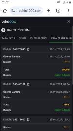 Screenshot_20241019-232133_Chrome.jpg