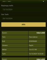 Screenshot_20241020-011002.jpg