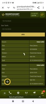 Screenshot_2024-10-22-02-47-34-111_com.android.chrome.jpg
