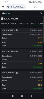 Screenshot_2024-10-22-19-19-37-562_com.android.chrome.jpg