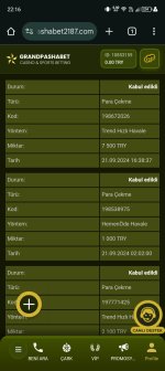 Screenshot_20241022-221636.jpg