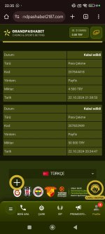 Screenshot_2024-10-22-22-35-23-588_com.android.chrome.jpg