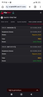 Screenshot_2024-10-23-14-32-30-240_com.android.chrome.jpg
