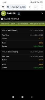 Screenshot_2024-10-24-11-20-59-339_com.android.chrome.jpg