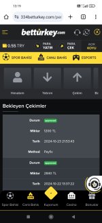 Screenshot_2024-10-24-13-19-27-345_com.android.chrome.jpg