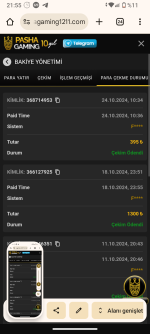 Screenshot_20241024-215515.png