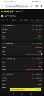 Screenshot_20241024_234719_com.android.chrome.jpg