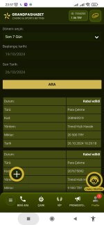 Screenshot_2024-10-26-23-57-46-560_com.android.chrome.jpg