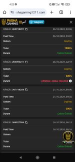 Screenshot_2024-10-27-04-22-15-761_com.android.chrome.jpg