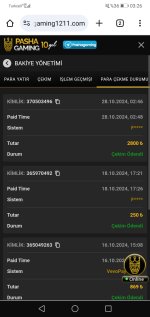Screenshot_20241028-032633.jpg