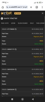 Screenshot_2024-10-31-01-46-42-705_com.android.chrome.jpg