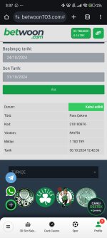 Screenshot_2024-10-31-03-37-41-202_com.android.chrome.jpg