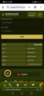 Screenshot_20241031_173717_com.android.chrome.jpg