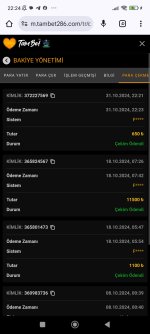 Screenshot_2024-10-31-22-24-57-197_com.android.chrome.jpg