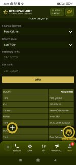Screenshot_2024-10-31-23-15-17-335_com.android.chrome.jpg