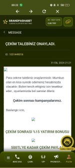 Screenshot_2024-11-01-00-22-15-62_9a95d2b50c044c4b18ce328866f75af2.jpg