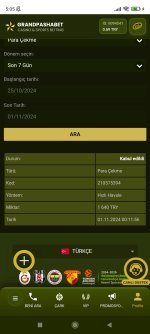 Screenshot_2024-11-01-05-05-58-008_com.android.chrome.jpg