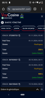 Screenshot_20241101-051544.png