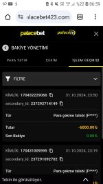 Screenshot_20241101-065911_Chrome.jpg
