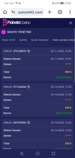 Screenshot_20241102_154743_com.android.chrome.jpg