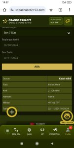 Screenshot_2024-11-02-19-37-00-879_com.android.chrome.jpg