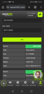 Screenshot_20241102_202952_com.android.chrome.jpg