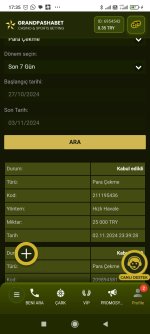 Screenshot_2024-11-03-17-35-08-350_com.android.chrome.jpg