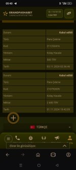 Screenshot_2024-11-04-05-40-57-26_4641ebc0df1485bf6b47ebd018b5ee76.jpg
