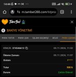 Screenshot_2024-11-05-14-44-08-303_com.android.chrome-edit.jpg
