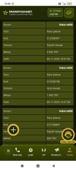 Screenshot_2024-11-06-19-44-40-666_com.android.chrome.jpg