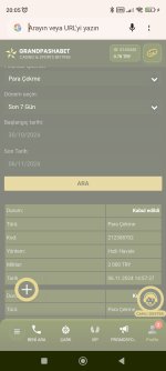 Screenshot_2024-11-06-20-05-09-408_com.android.chrome.jpg