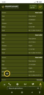 Screenshot_2024-11-08-12-20-12-761_com.android.chrome.jpg