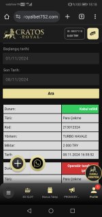 Screenshot_20241108_181841_com.android.chrome.jpg